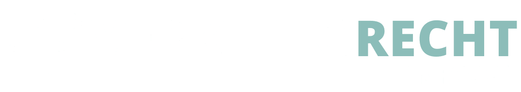 Logo Verkehrsrechtinfo.de in Weiß