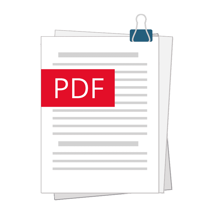 Icon PDF Download